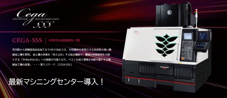 CEGA3S導入！